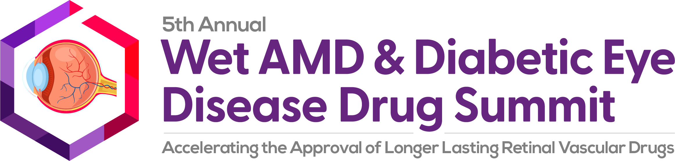 5th Wet AMD & Diabetic Eye Disease Drug Summit strapline logo